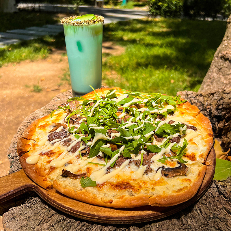 Stake Mushroom