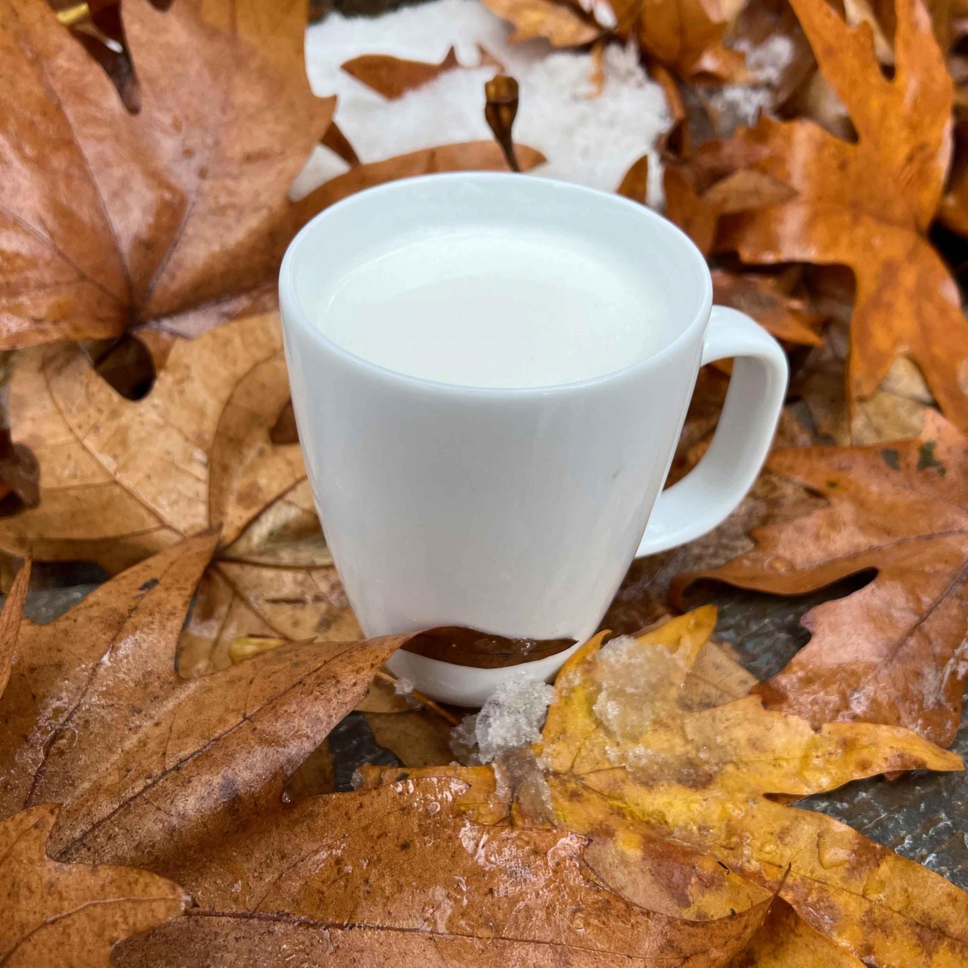 Milk shot