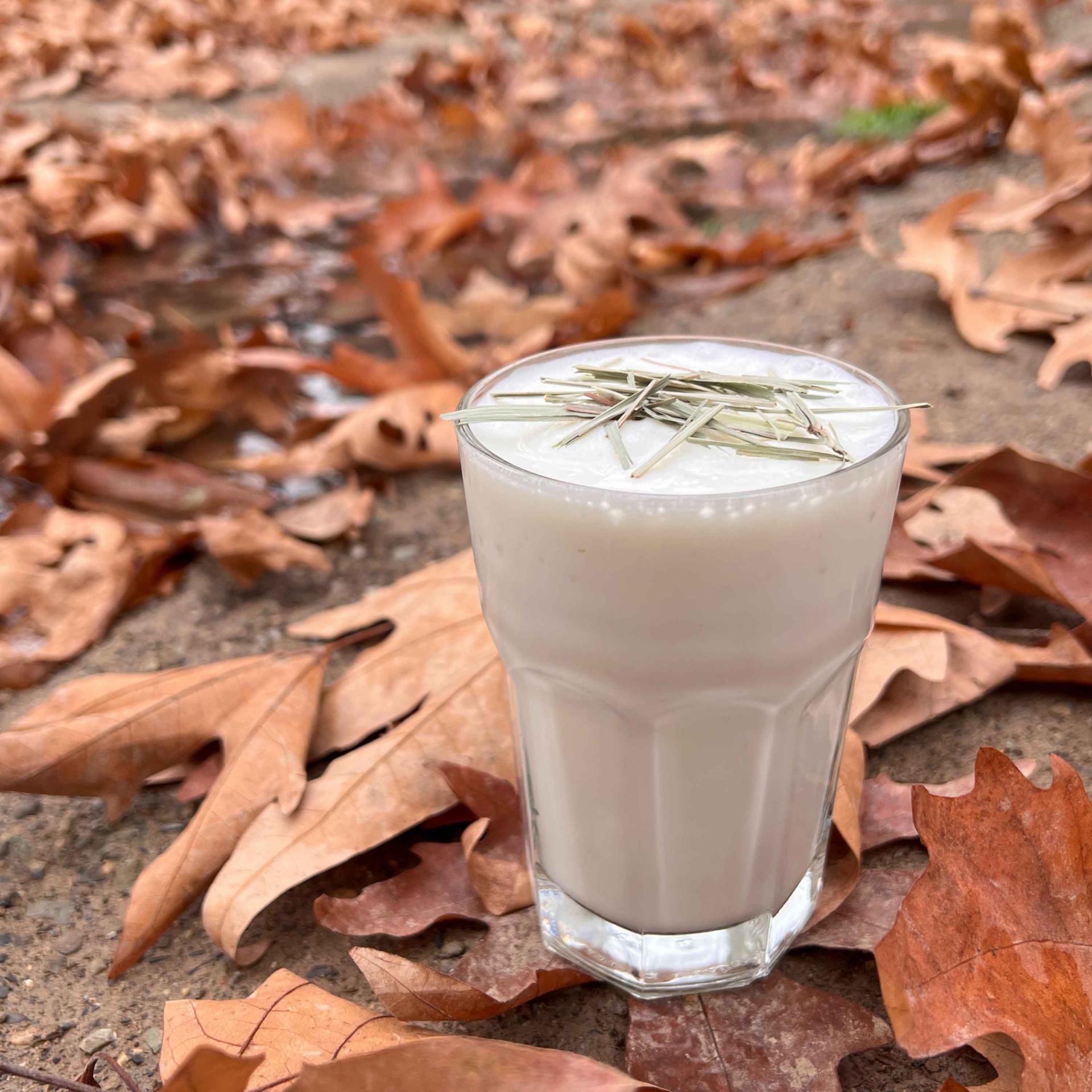 Panilla Shake